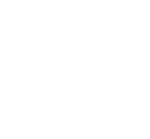 D8_logo_inverse_icon